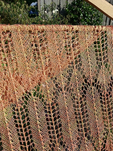 Ensis