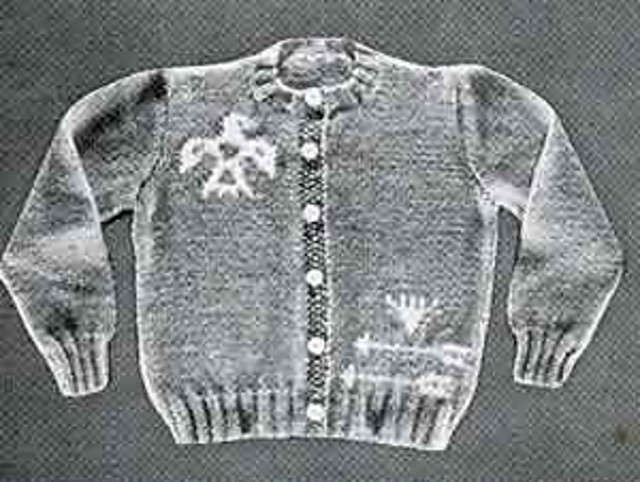 Thunder Bird Sweater