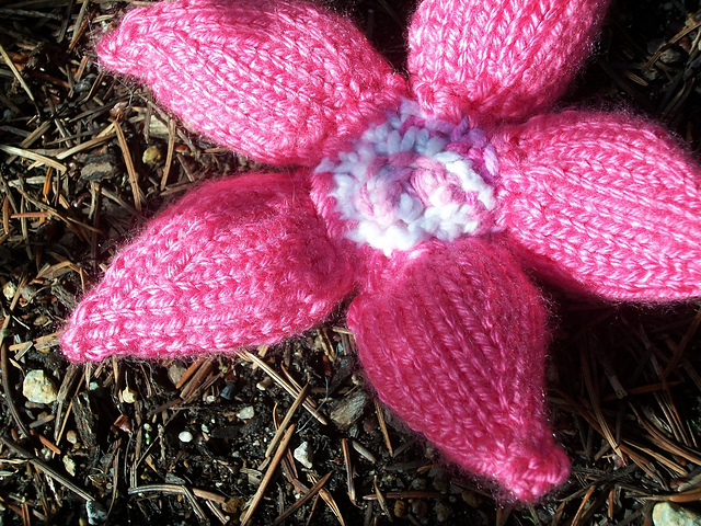 Flower Power
