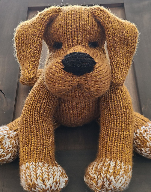 Finn the Puppy