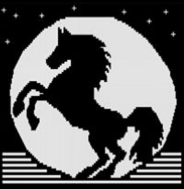 Moonlight Horse