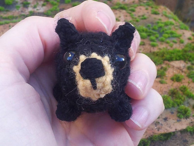Bitty Bear