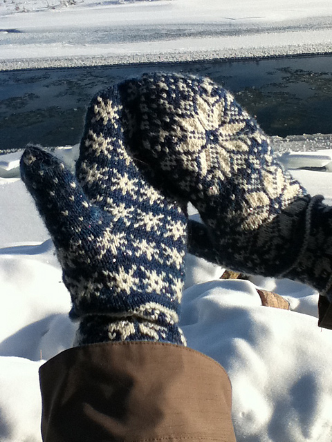 Snowflakes in Starry Skies Mittens