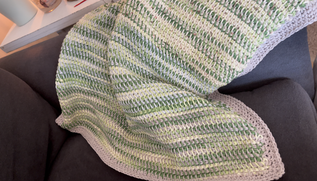 Pet Blanket