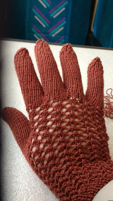 Wrist-Length Gloves