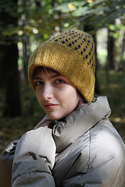 Lattice Pie Beanie