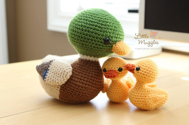 Meyer the Mallard Duck & his Babies
