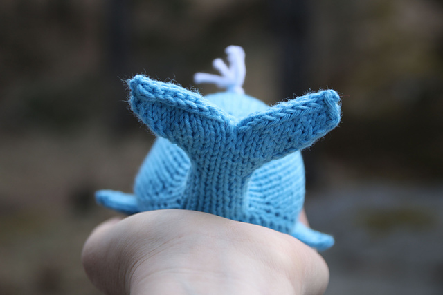 knit a whale