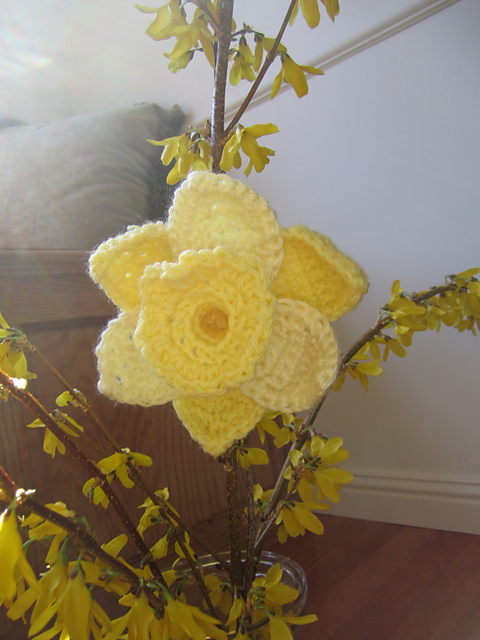 Daffodils of Spring