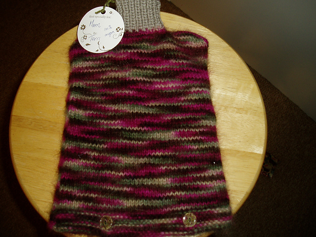 Huggable Hot Water Cozy