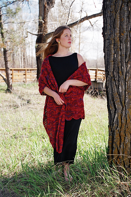 Feathers and Fan Shawl