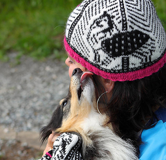 Sheltie hat