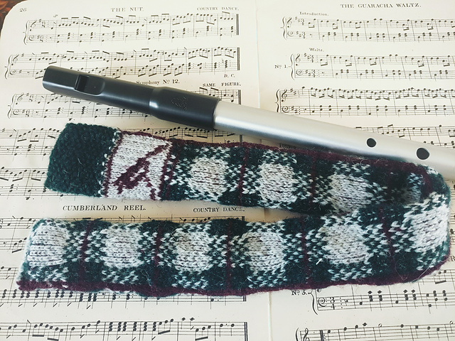 Tartan Large Whistle Case