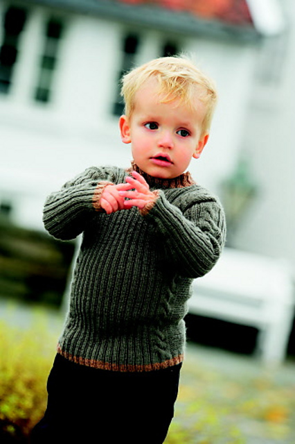 1201-06 Sweater in Sisu