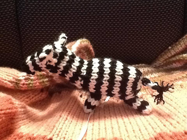 Itty Bitty Zebra