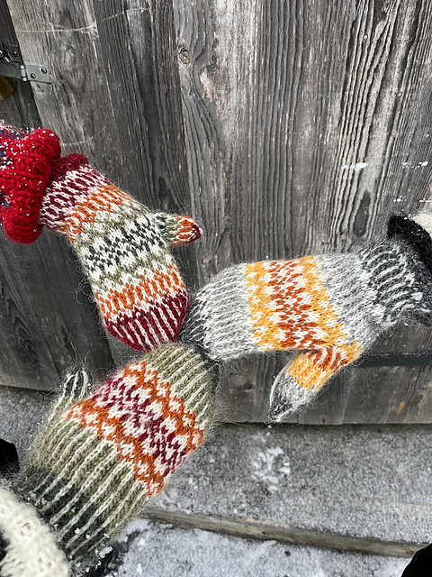 Fionalapaset