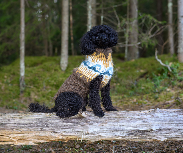 Kaino for Dogs