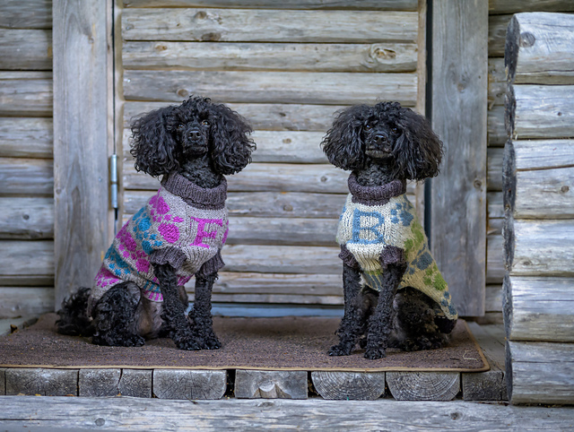 Zampa Dog Sweater