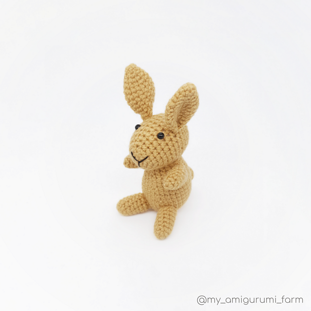 Bunny