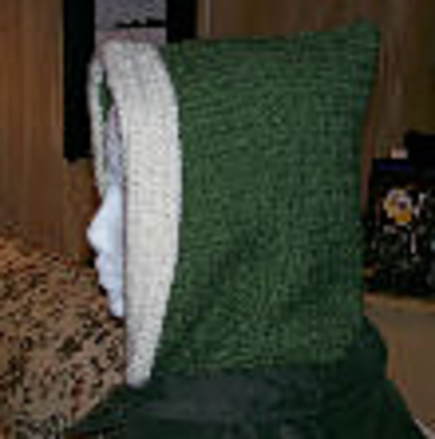 Winter hood for a coat or jacket