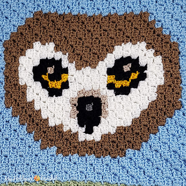 JAYG C2C Owl Block