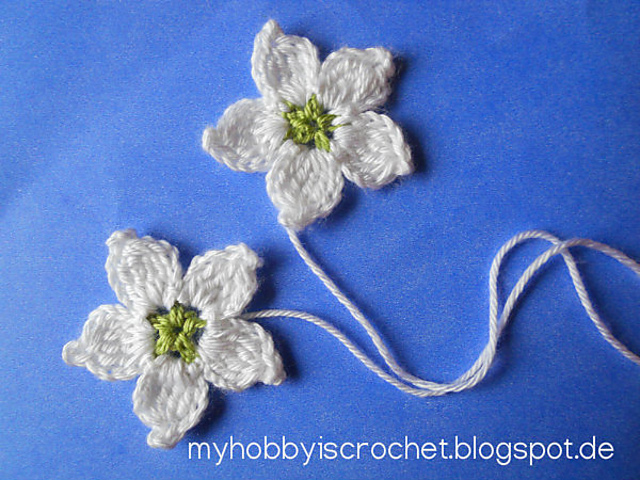 Blackberry Flower