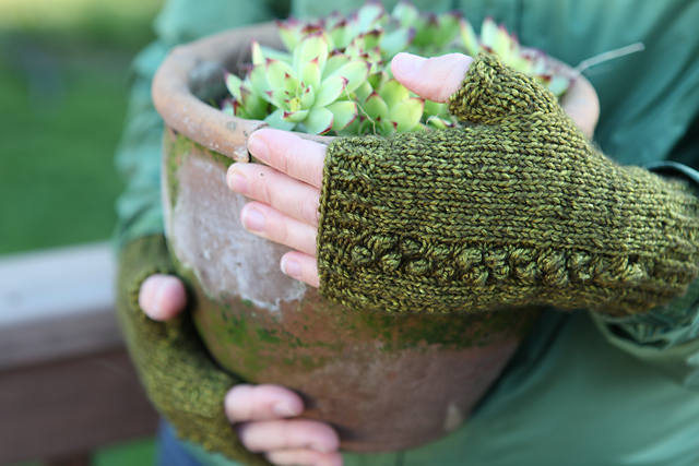 Spring Warrior mitts