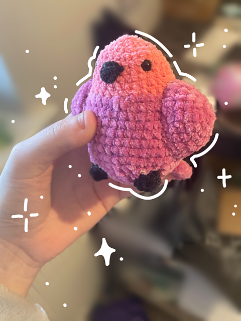 Chonky Parrot