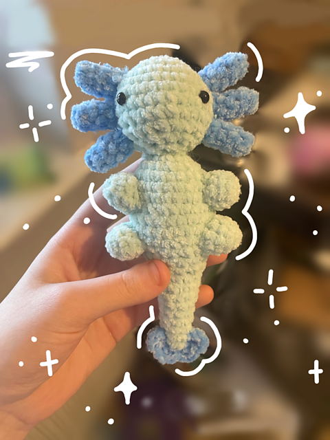 Axolotl