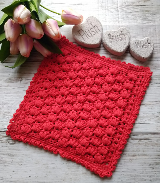 Nenloth Washcloth