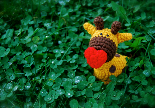 Stumpy the Giraffe