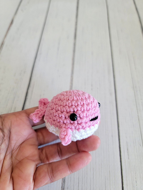 Tiny Whale