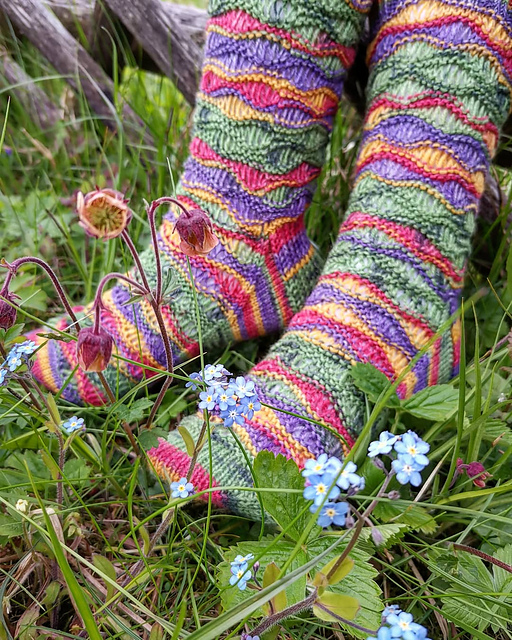 Galvez Socks
