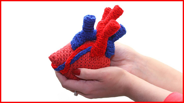 Anatomical Heart