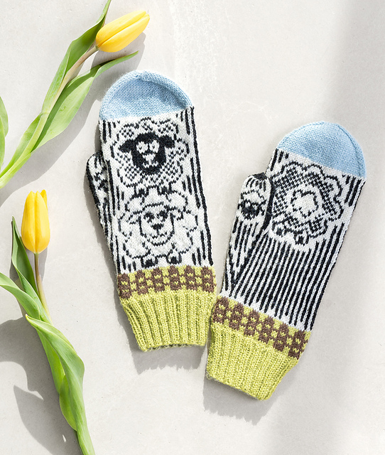 Baa Baa - Schäfchen
