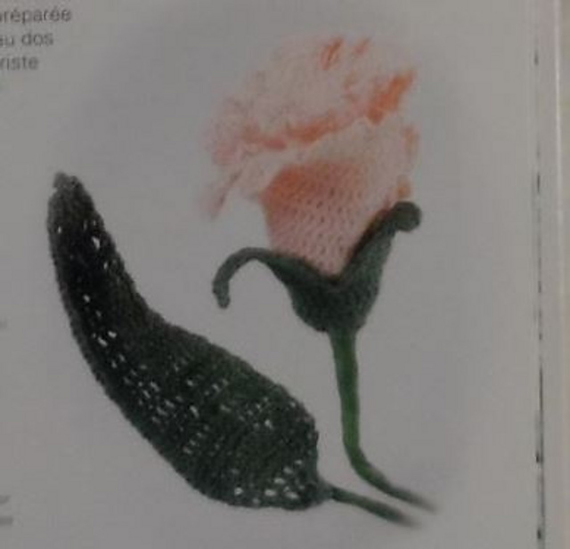 Roses