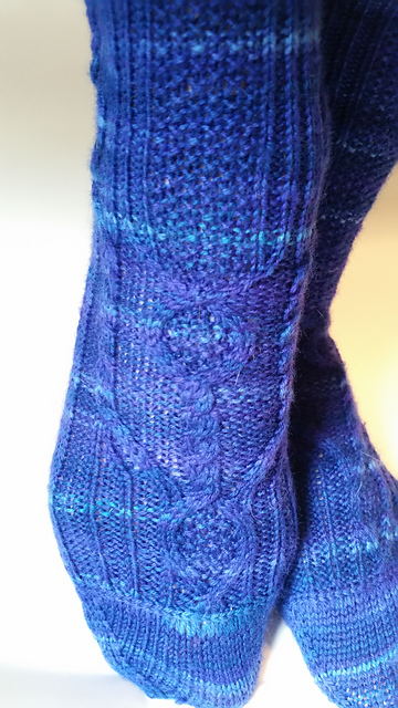 A Thrill Ride Socks