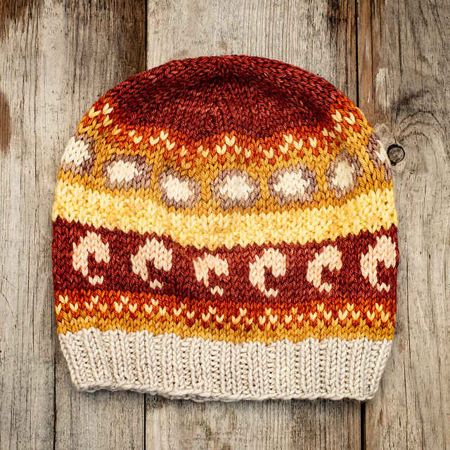 South Carolina Beanie