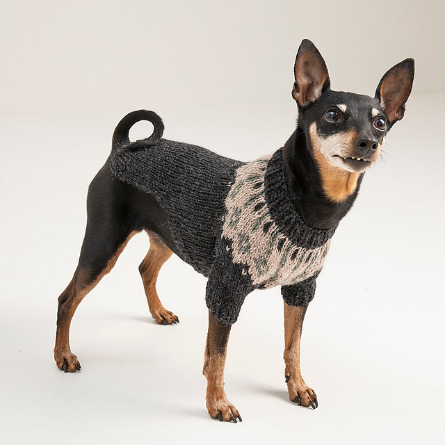 Chili dog sweater