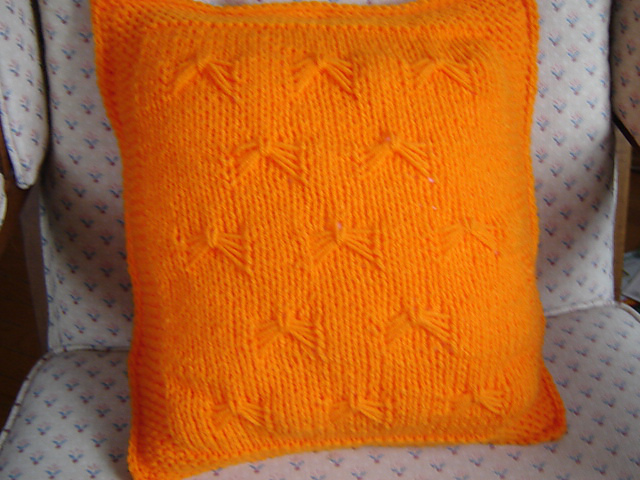 Bow Cushion Case
