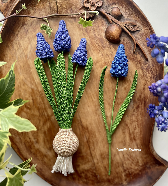 Muscari flower
