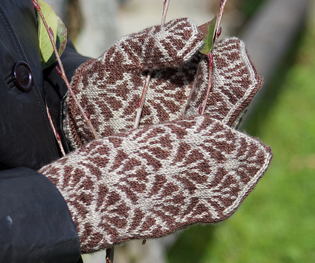 Frond Mittens