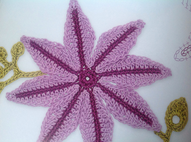 Clematis