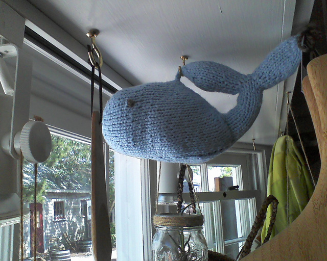 A Whale of a Toy!