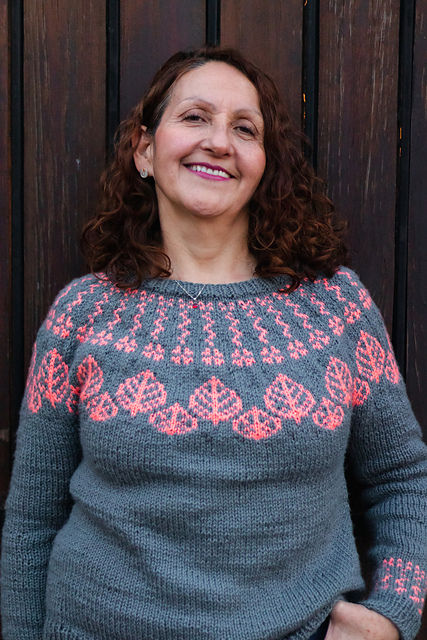 Sweater Rimü