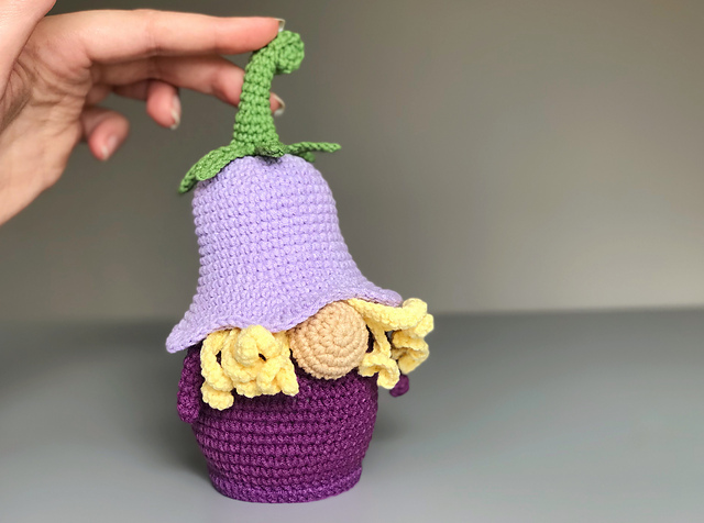Campanula Gnome