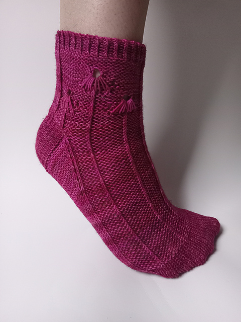 Coneflower Socks