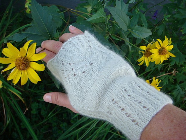 Cashmere Lace Fingerless Gloves