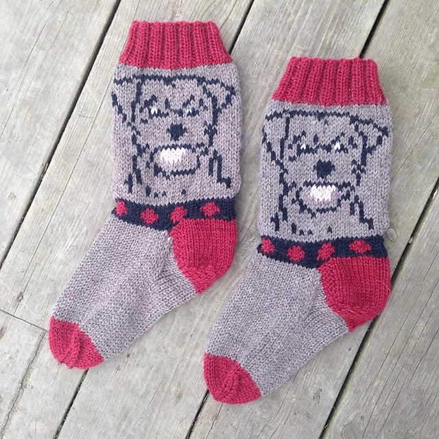 Borderterrier