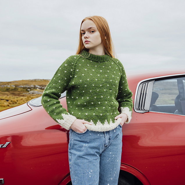 Sweater with Flea Pattern